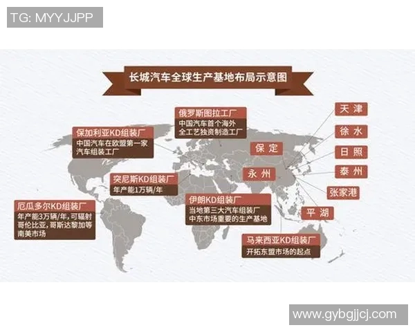 以足球为核心探索全球运动文化多样性与发展趋势分析